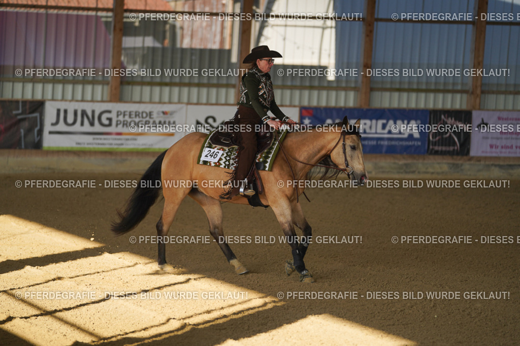 DSC08350 | Pferdegrafie