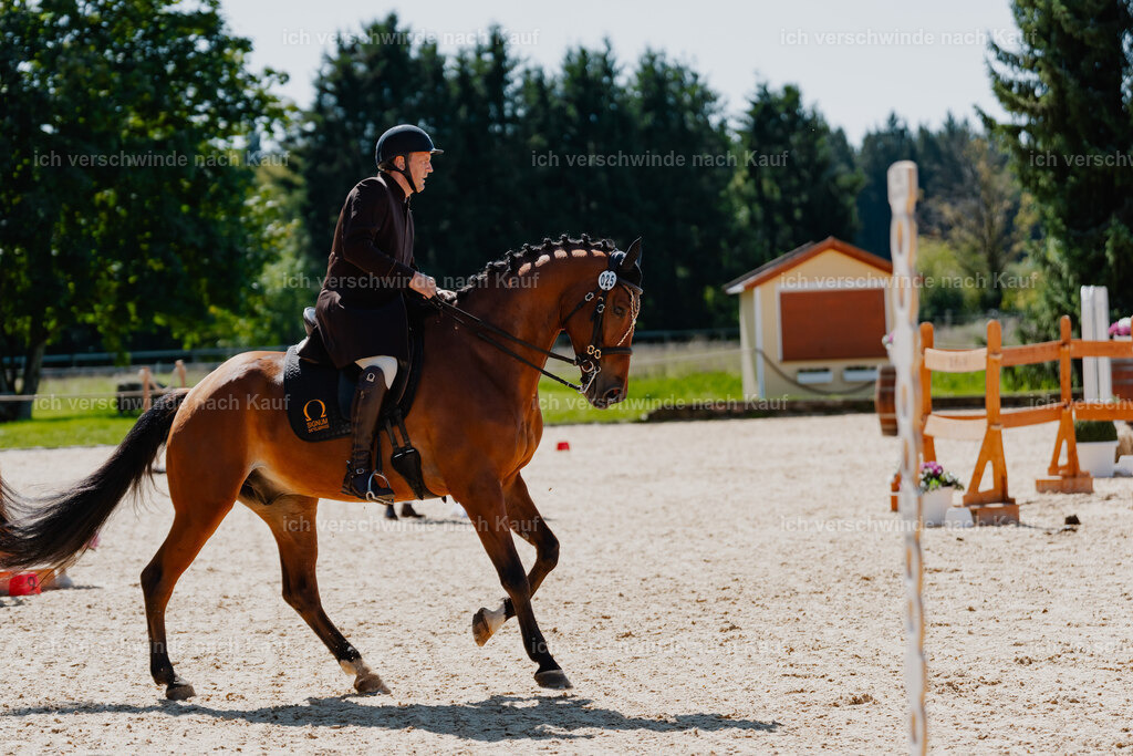 Gernot25_FHC2025-08329 | working equitationturnier fotograf videograf stoibphotography marixx film working equitation deutschland reitsport turnierfotografie eventfotografie equestrian events