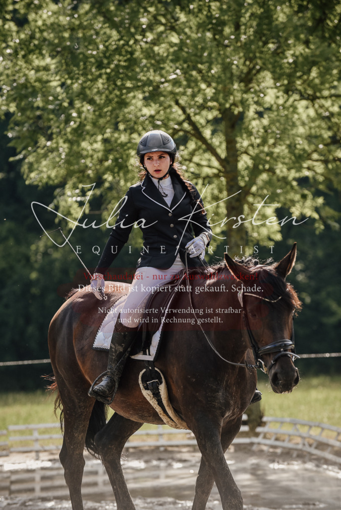 DSC_8697 | Pferde- und Turnierfotografie in Westsachsen. Pferdeportraits, Auftragszeichnungen und intuitive Kunst.