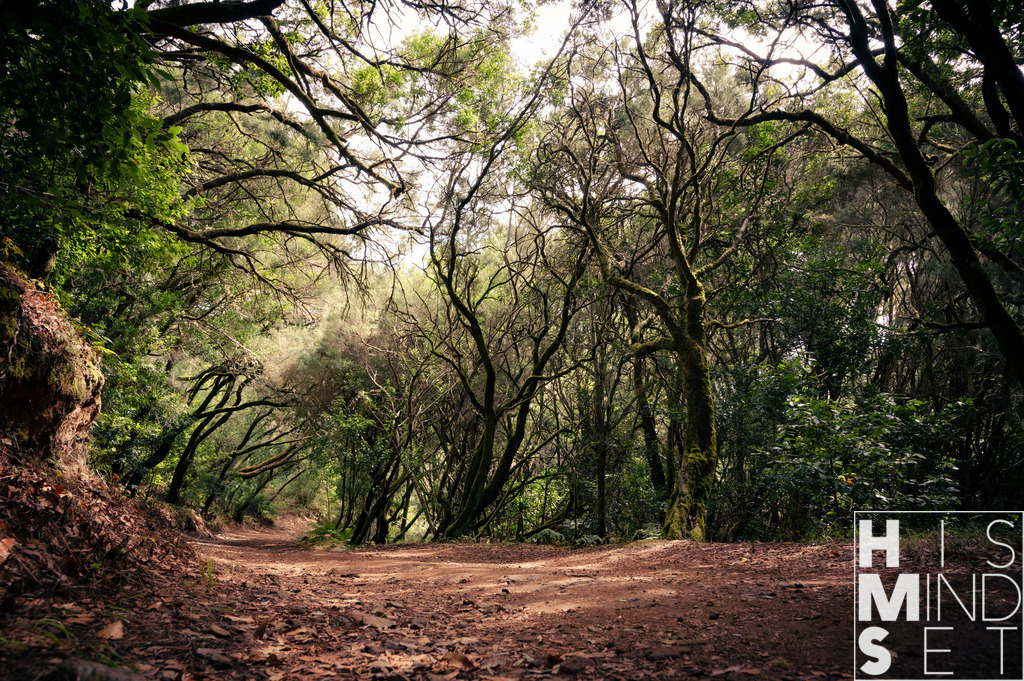 Gakelweg | Sichere dir dein Lieblingsbild von HISMINDSET als Print für dein Zuhause oder das Büro! - Realisiert mit Pictrs.com