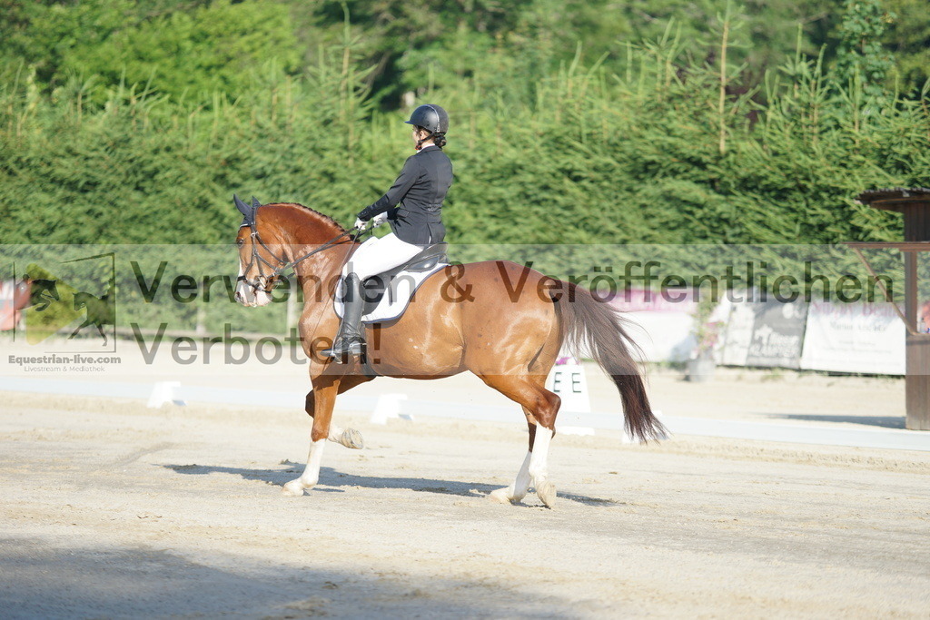 DSC04301 | equestrian-live-com
