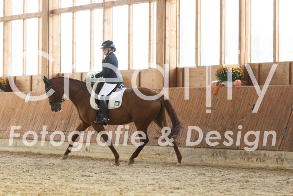 IMG_2951 | Creatify Fotografie