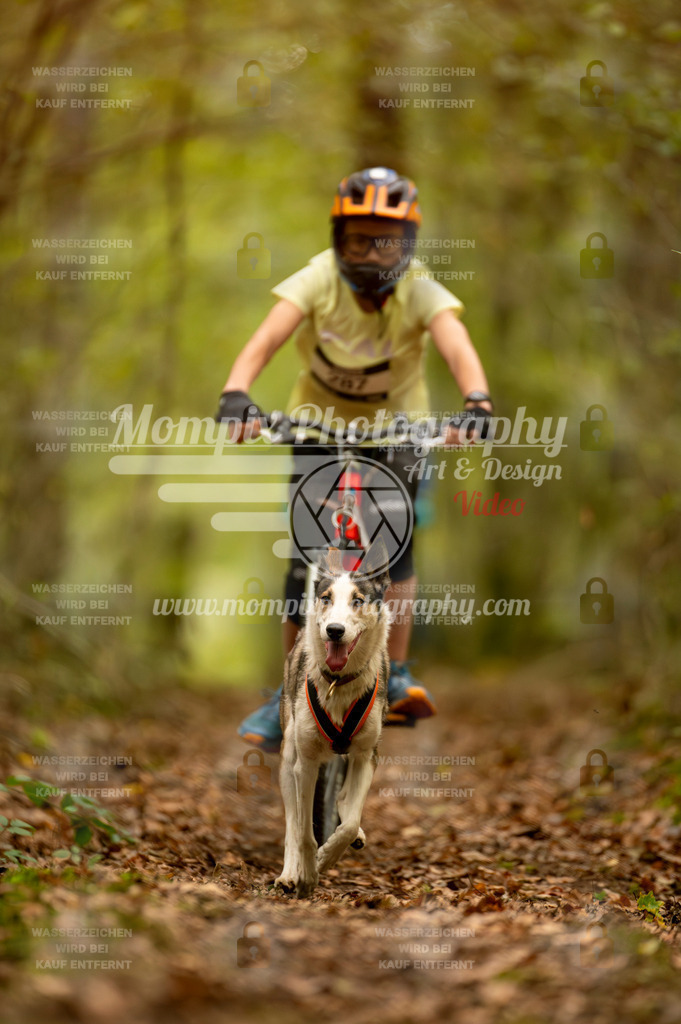TSB_2023_E1_Bike-11 | PayLife