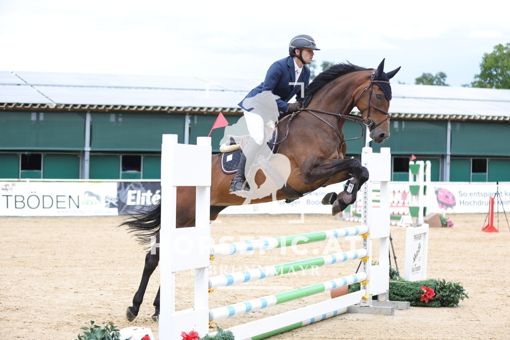 0P6A4354 | Willkommen bei Brunnmayr - Design & Fotografie – Ihrem Spezialisten für Reitturniere und Pferdeveranstaltungen in Oberösterreich, Salzburg und Bayern! Seit über 17 Jahren sind wir leidenschaftlich dabei.