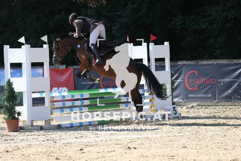 DL2Q7872 | Willkommen bei Brunnmayr - Design & Fotografie – Ihrem Spezialisten für Reitturniere und Pferdeveranstaltungen in Oberösterreich, Salzburg und Bayern! Seit über 17 Jahren sind wir leidenschaftlich dabei.