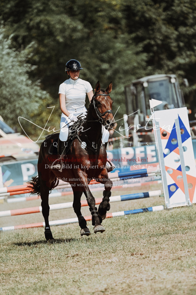 DSC_9988 | Pferde- und Turnierfotografie in Westsachsen. Pferdeportraits, Auftragszeichnungen und intuitive Kunst.
