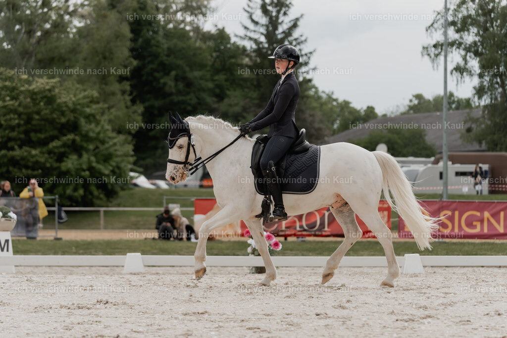 WE_DR_Stoib_341_PI2025_827 | Pferd International München 2025