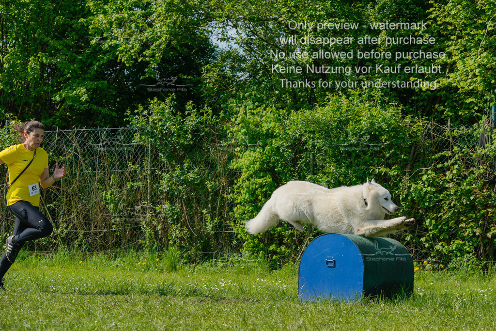 Sa_SprintVK_Gr2_03-18 | stephaniefillaphotographie - Realisiert mit Pictrs.com