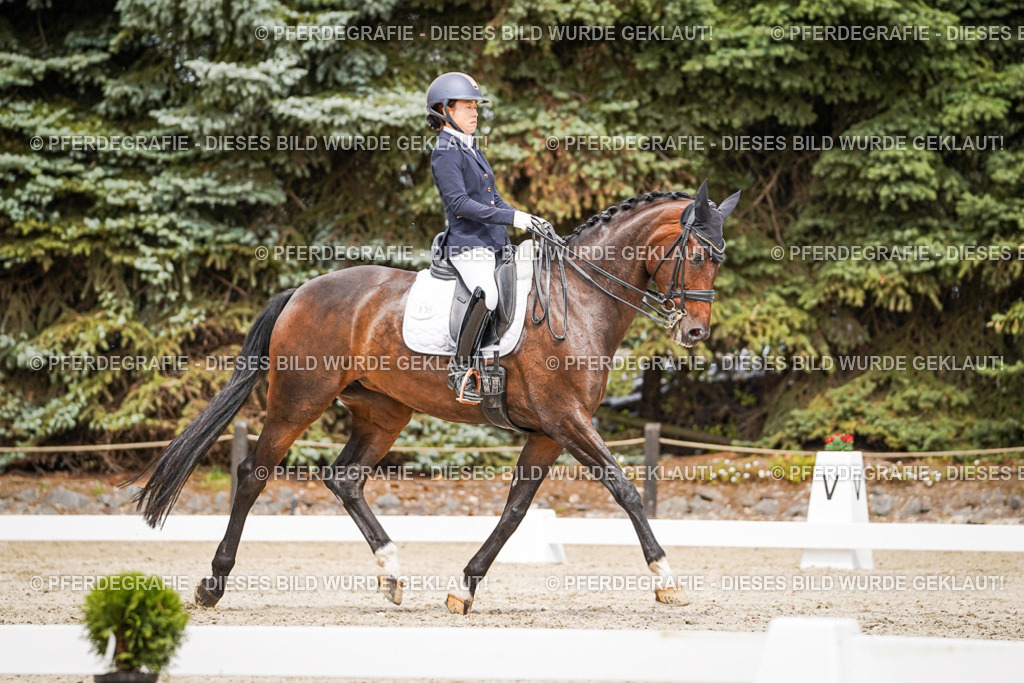 DSC05625 | Pferdegrafie