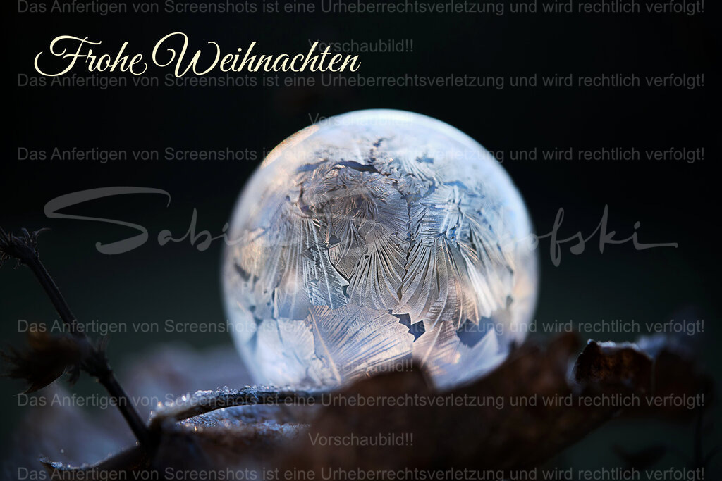 "Frohe Weihnachten" Frozen Bubble | People- und Tierfotografie, Imageaufnahmen, Veranstaltungsfotografie und Wandbilder aus der Natur ★ Made in Germany ✔️ Druck + Downloads ✔️ Naturfotografie in Top Qualität ★ schneller Versand, weltweite Lieferung! - Realisiert mit Pictrs.com
