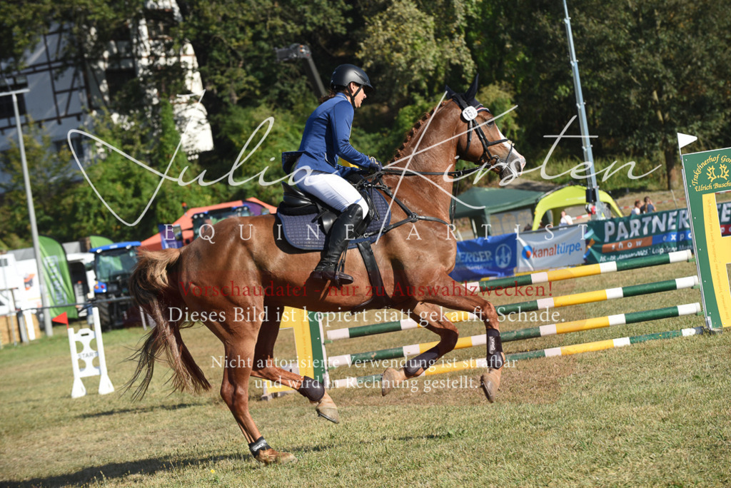 DSC_5333 | Pferde- und Turnierfotografie in Westsachsen. Pferdeportraits, Auftragszeichnungen und intuitive Kunst.