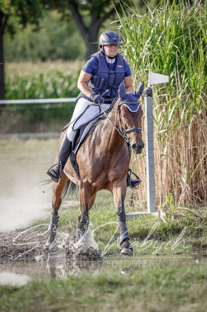 20250906-_3LI7656 | Tierfotografie Pferde, Hunde, Katzen, Haustiere.
Turnierfotografie Reitturniere, Reiten, Springreiten, Dressur in Hanau, dem Main-Kinzig-Kreis und dem Rhein-Main- Gebiet um Frankfurt