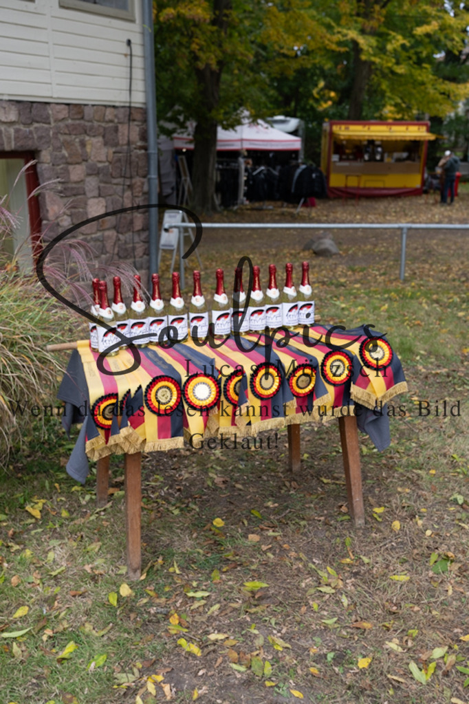 A7V00763 | Pferdefotograf