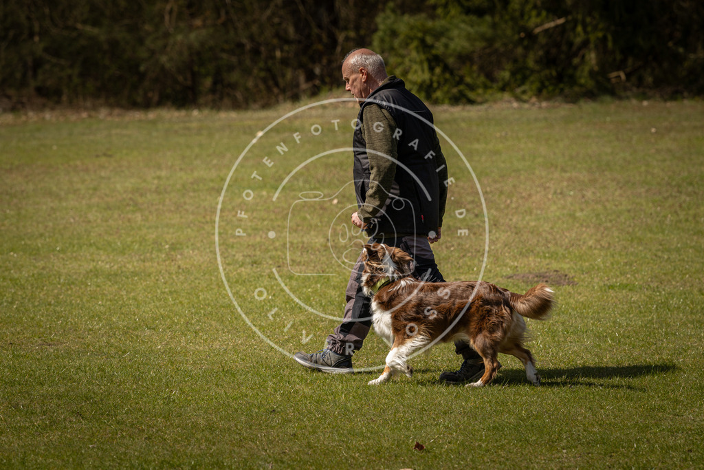 Pfotenfotografie_DV3A1316 | Hundefotografie, Tierfotograf, Pfotenfotografie, Fotoshooting Hund, Hunde Portrait, Hundesport, Hundeportraits, Heideshooting, Hunde, Sportfotograf, Hundefotograf, Turnierhundsport, THS,  - Realisiert mit Pictrs.com