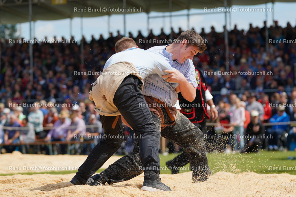 20220529-DSC08134 | René Burch leidenschaftlicher Fotograf aus Kerns in Obwalden.  Hier finden sie Sport, Landschaft und Natur Fotografie.
 - Realisiert mit Pictrs.com