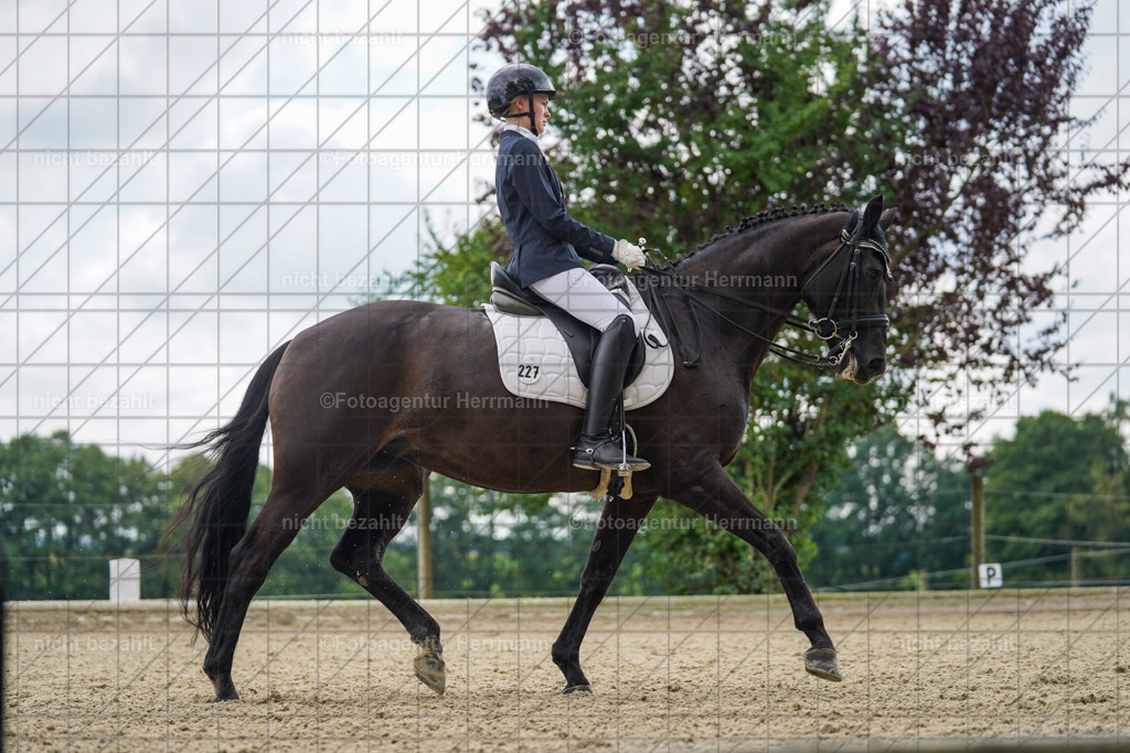 20230826-FAH05858 | Forstinning, 2023, Dressurturnier, Turniersportbilder, Turnierfotografen Bayern, Fotoagentur Herrmann, Reitsportfotografie, Turnierbilder