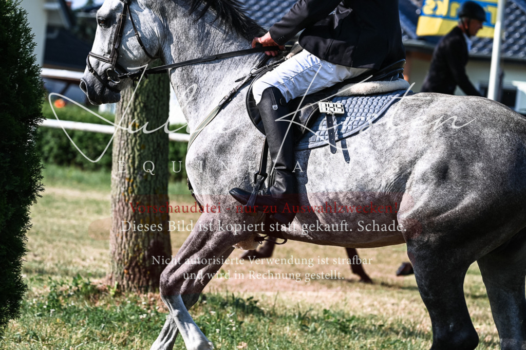 DSC_7482 | Pferde- und Turnierfotografie in Westsachsen. Pferdeportraits, Auftragszeichnungen und intuitive Kunst.