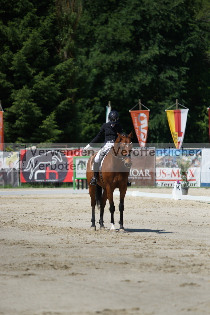 DSC03140 | equestrian-live-com