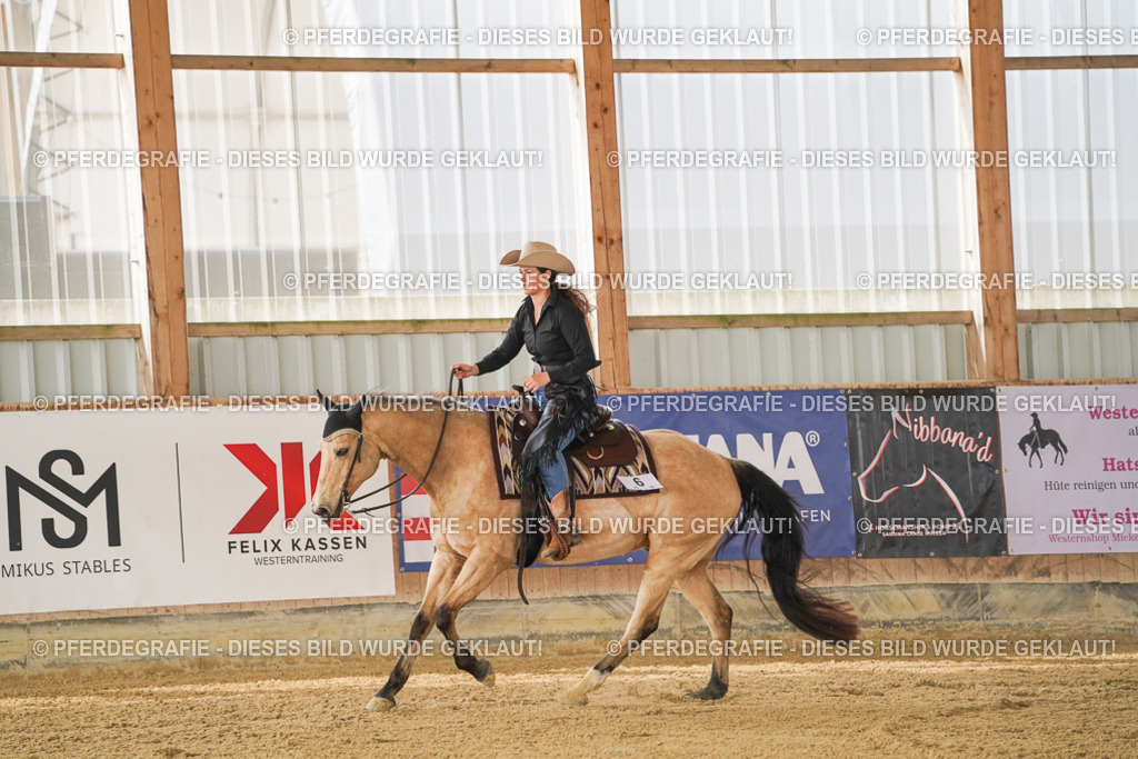 DSC02524 | Pferdegrafie