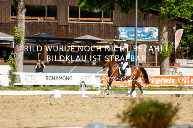 _62_2731 | larahueckfotografie