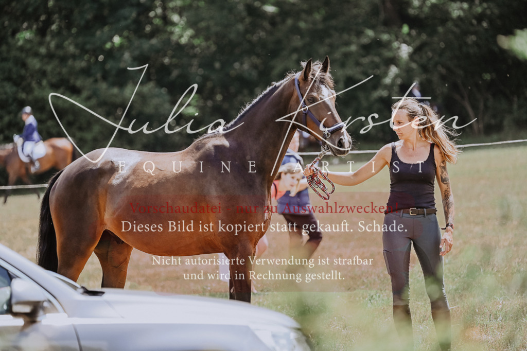 DSC_9544 | Pferde- und Turnierfotografie in Westsachsen. Pferdeportraits, Auftragszeichnungen und intuitive Kunst.