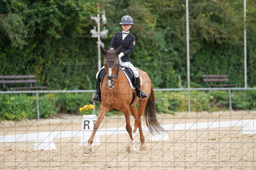 20240825-FAH09962 | Turnierbilder, Reitsportfotos, LAPO, Landesponyturnier, Turnierfotografen Bayern