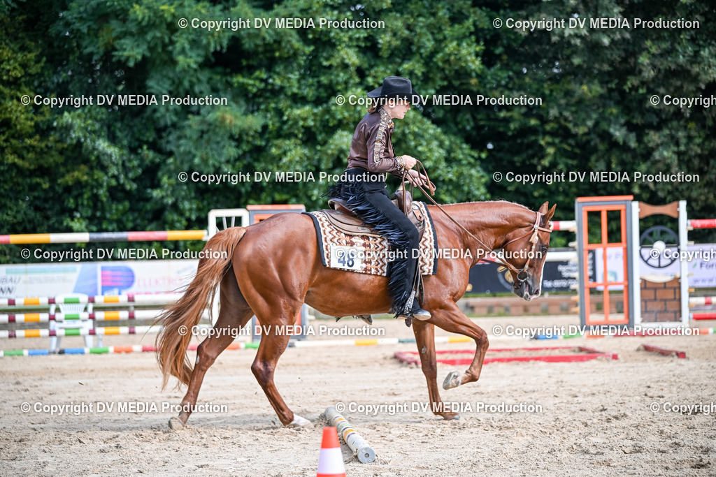 ZS2_3499 | dv-media-shop - Realisiert mit Pictrs.com