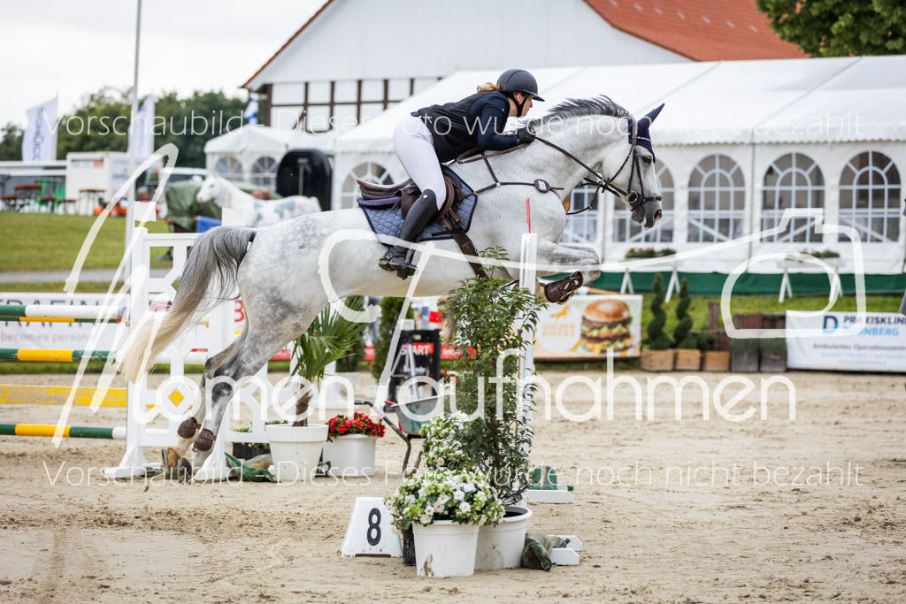 BHO-2PhSpr-M-246 | MomenTaufnahmen Pferdesportfotos