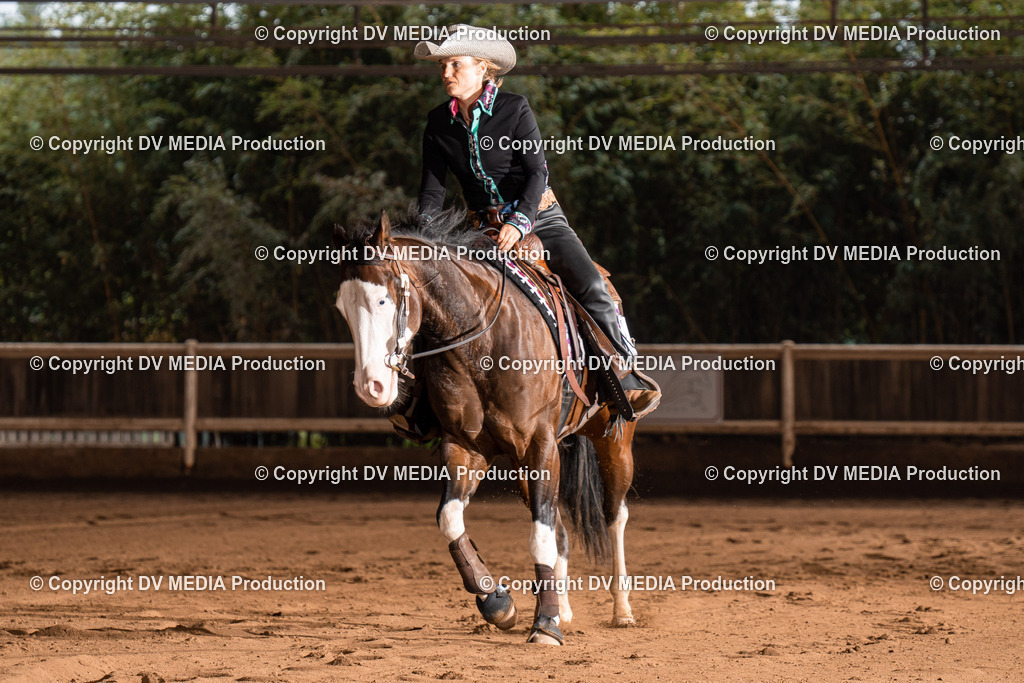 Erbach Tag 2-960 | dv-media-shop - Realisiert mit Pictrs.com