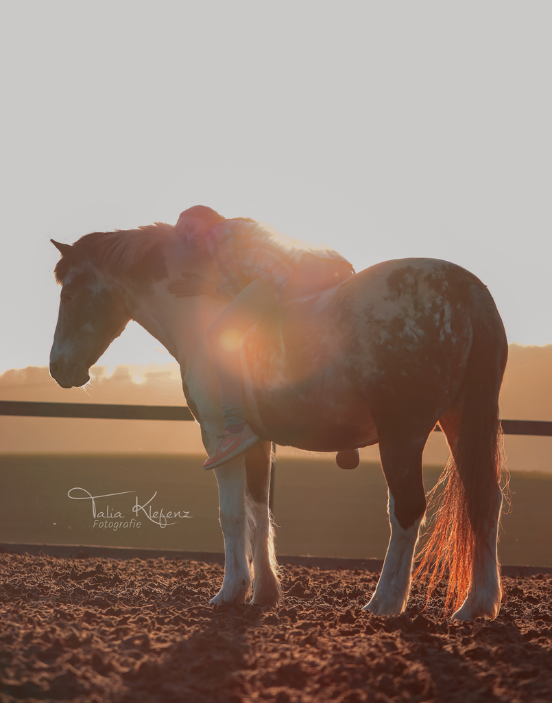 Sunset_PS | Emotionale Pferde- & People-Fotografie rund um Heidelberg, Leimen & Umgebung. Natürliche Fotos von Pferd, Mensch & Familie. Jetzt Termin sichern!