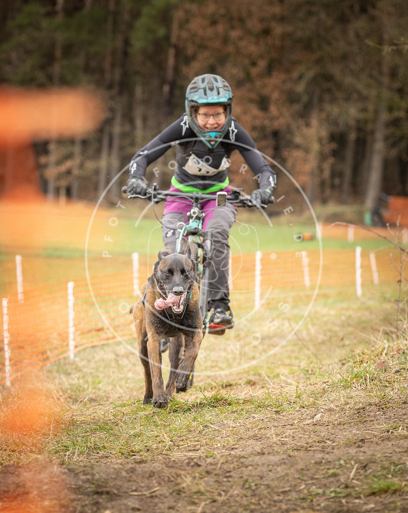 DV3A1007 | Hundefotografie, Tierfotograf, Pfotenfotografie, Fotoshooting Hund, Hunde Portrait, Hundesport, Hundeportraits, Heideshooting, Hunde, Sportfotograf, Hundefotograf, Turnierhundsport, THS,  - Realisiert mit Pictrs.com