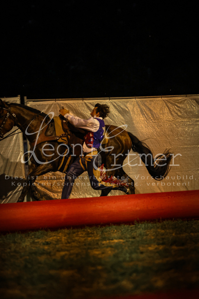 SaShow00366 | Leoni Ertmer Photography - Realisiert mit Pictrs.com