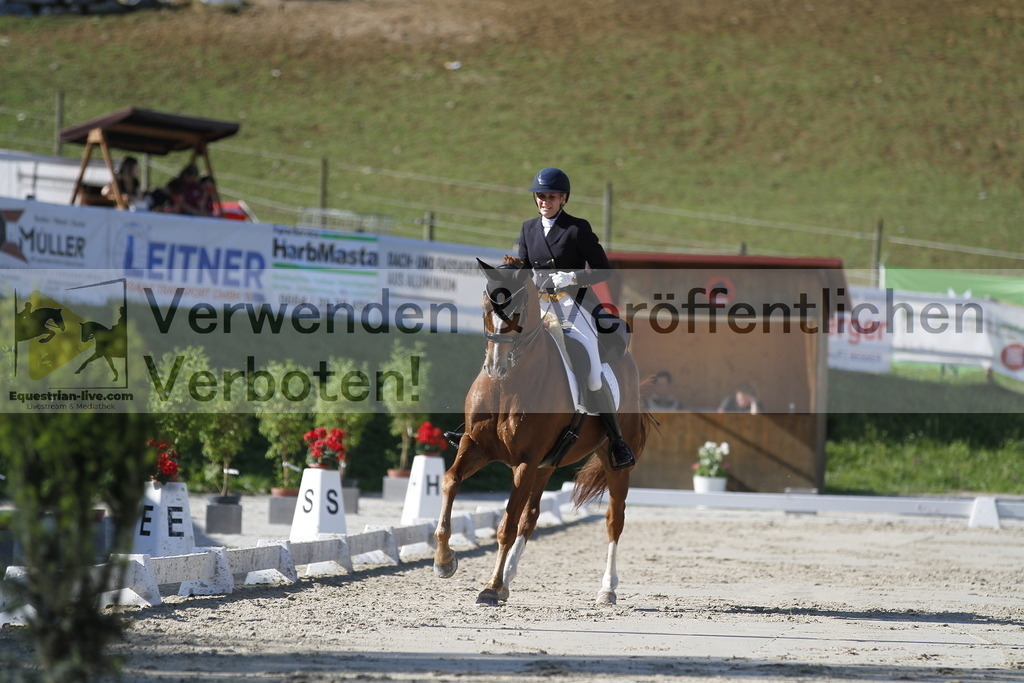 _MG_3147 | equestrian-live-com