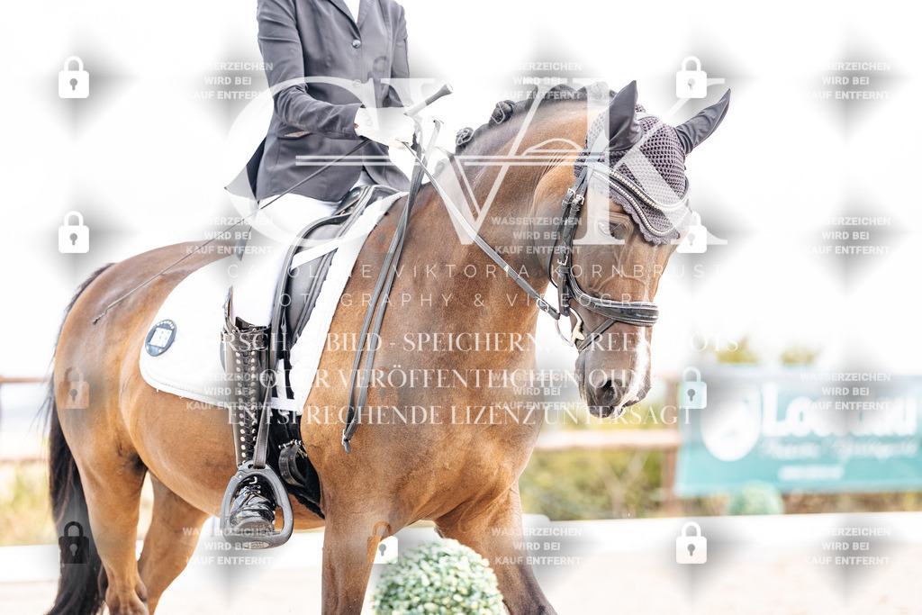CK901646 | Turnierfotografie Pferdefotografie Trier Rheinland-Pfalz Pferdesport Reitsport Tierfotografie Sportfotografie Pferdevideo Pferdevideografie Equestrianvideography equestrianphotography  - Realisiert mit Pictrs.com