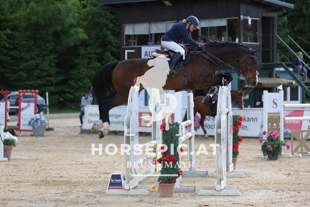 0P6A9730 | Willkommen bei Brunnmayr - Design & Fotografie – Ihrem Spezialisten für Reitturniere und Pferdeveranstaltungen in Oberösterreich, Salzburg und Bayern! Seit über 17 Jahren sind wir leidenschaftlich dabei.