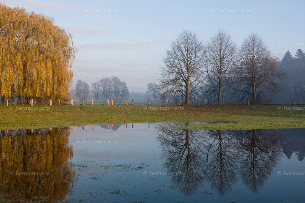 Trees_fine_Art_0051 | Photo Foto Kunst Art schwarzweiss Bilder Rheine Münster Berlin Blumen 