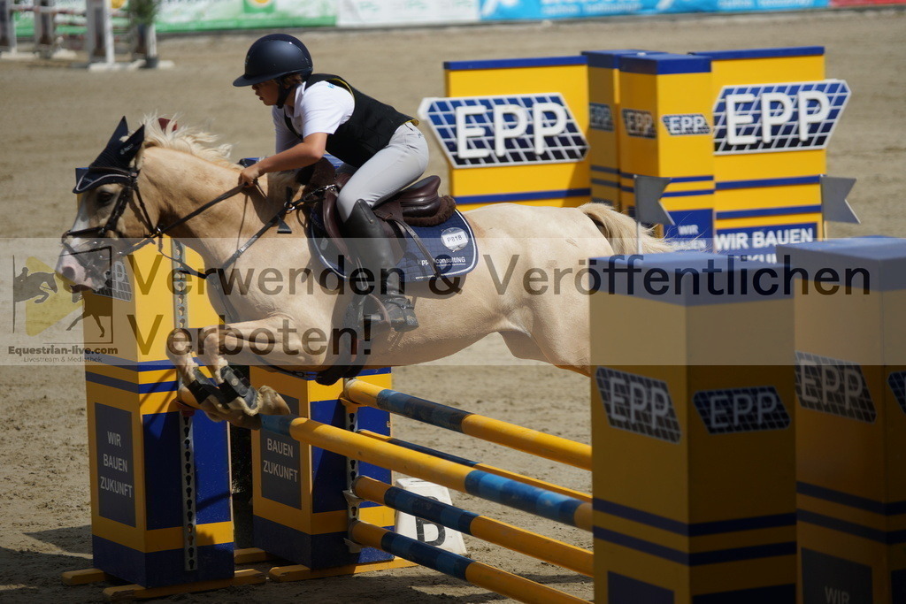 DSC08865 | equestrian-live-com