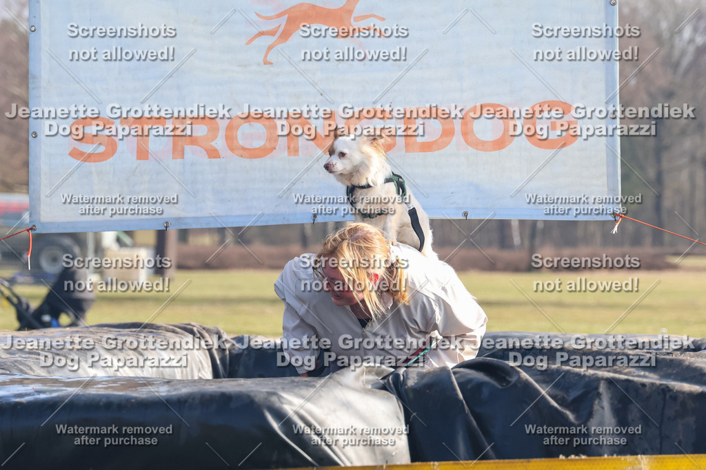 Dog Paparazzi - Strongdog North Mrz26-882 | Dog Paparazzi Jeanette Grottendiek Fotografie & Videografie - Realisiert mit Pictrs.com