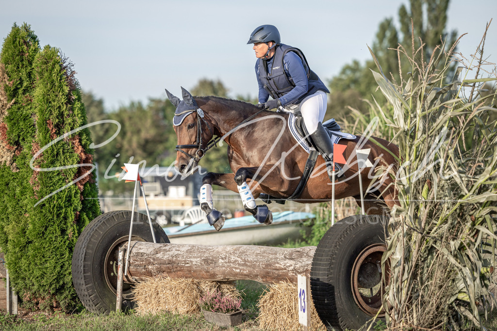 20250907-_3LI8267 | Tierfotografie Pferde, Hunde, Katzen, Haustiere.
Turnierfotografie Reitturniere, Reiten, Springreiten, Dressur in Hanau, dem Main-Kinzig-Kreis und dem Rhein-Main- Gebiet um Frankfurt