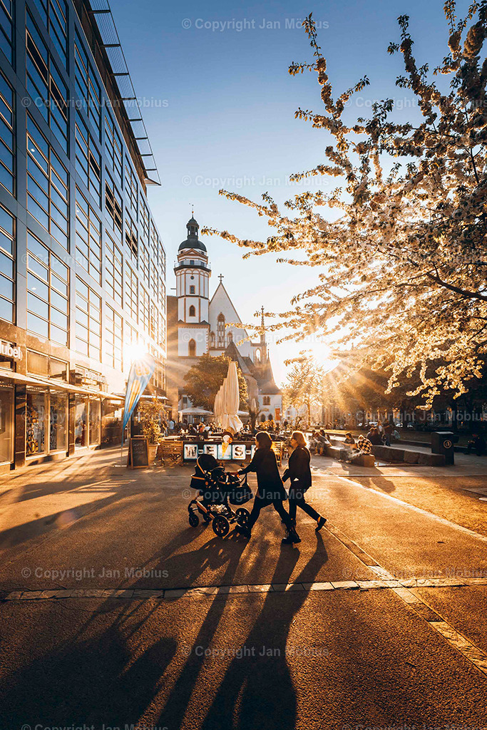 _DSC6230 | Leipzig Wandbilder Drucke Prints Leinwand Stadtmotive Leipzig Fotosdruck Kunstdrucke Bilder Leipzig Stadtansichten Acrylglasbilder Leipzig Wanddeko Fine Art Prints Wandbilder Büro Leipzig Bilder Praxis Zuhause Bilderdruck Poster Posterlounge Kunstdrucke - Realisiert mit Pictrs.com