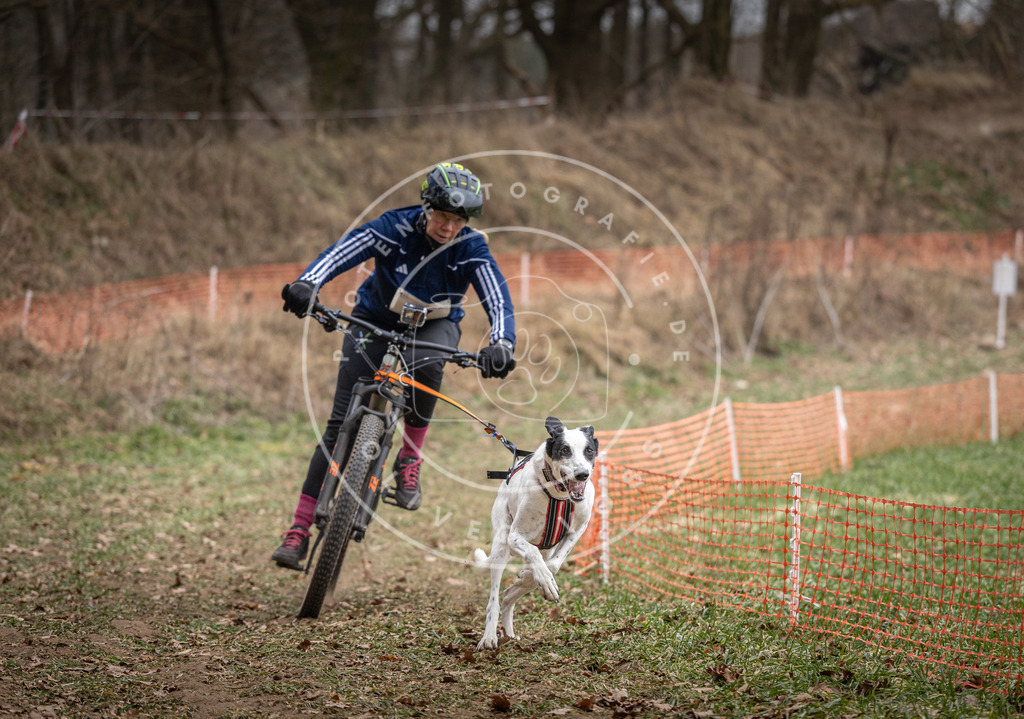 Pfotenfotografie_DV3A5161 | Hundefotografie, Tierfotograf, Pfotenfotografie, Fotoshooting Hund, Hunde Portrait, Hundesport, Hundeportraits, Heideshooting, Hunde, Sportfotograf, Hundefotograf, Turnierhundsport, THS,  - Realisiert mit Pictrs.com