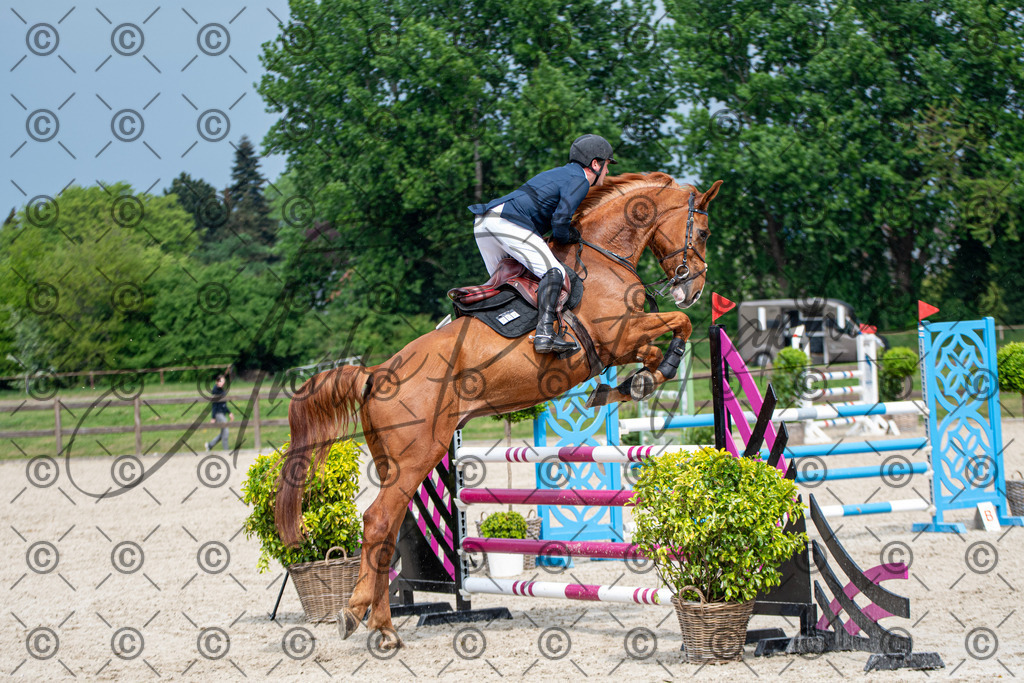 KPT_3248 | andre_photographic