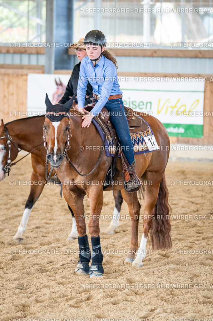 DSC03760 | Pferdegrafie