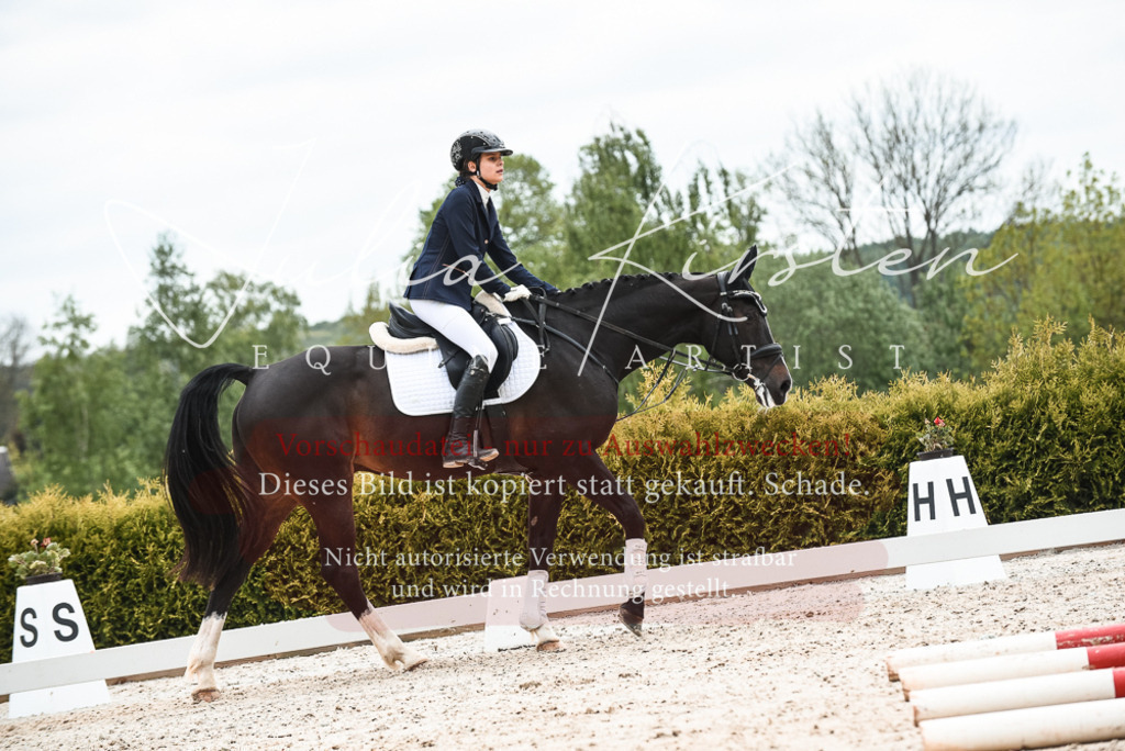 20230518_JK-Röhrsdorf-10-489 | Pferde- und Turnierfotografie in Westsachsen. Pferdeportraits, Auftragszeichnungen und intuitive Kunst.