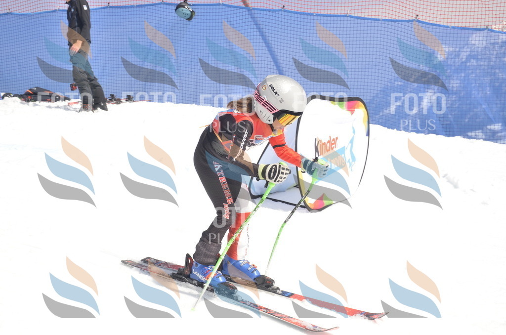 _ELE9260 | holidayphoto