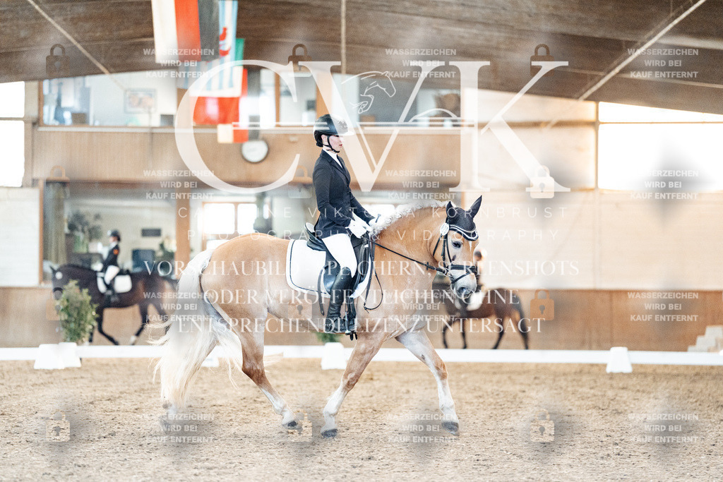 CK907052 | Turnierfotografie Pferdefotografie Trier Rheinland-Pfalz Pferdesport Reitsport Tierfotografie Sportfotografie Pferdevideo Pferdevideografie Equestrianvideography equestrianphotography  - Realisiert mit Pictrs.com