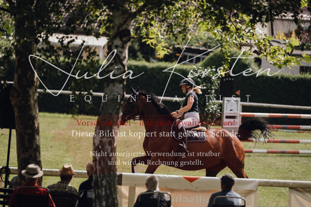 DSC_0966 | Pferde- und Turnierfotografie in Westsachsen. Pferdeportraits, Auftragszeichnungen und intuitive Kunst.