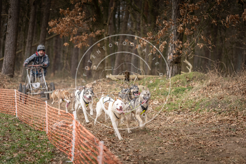 Pfotenfotografie_DV3A2252 | Hundefotografie, Tierfotograf, Pfotenfotografie, Fotoshooting Hund, Hunde Portrait, Hundesport, Hundeportraits, Heideshooting, Hunde, Sportfotograf, Hundefotograf, Turnierhundsport, THS,  - Realisiert mit Pictrs.com