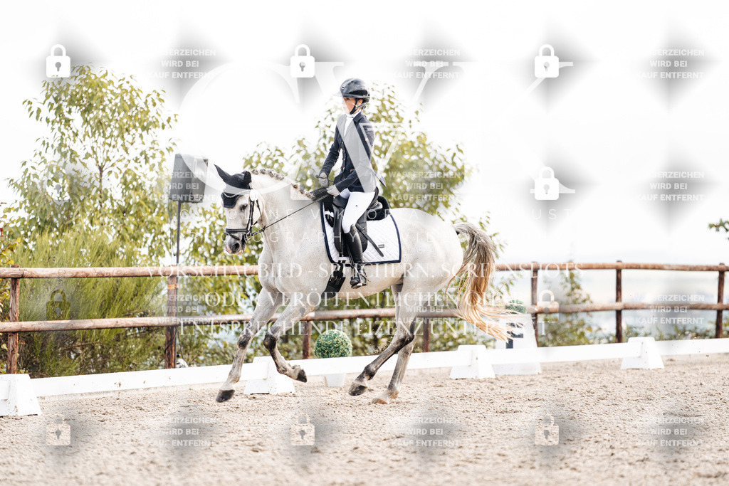 CK900568 | Turnierfotografie Pferdefotografie Trier Rheinland-Pfalz Pferdesport Reitsport Tierfotografie Sportfotografie Pferdevideo Pferdevideografie Equestrianvideography equestrianphotography  - Realisiert mit Pictrs.com