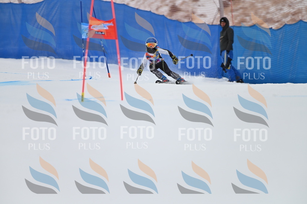 BGV_1862 | holidayphoto